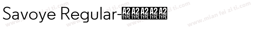 Savoye Regular字体转换